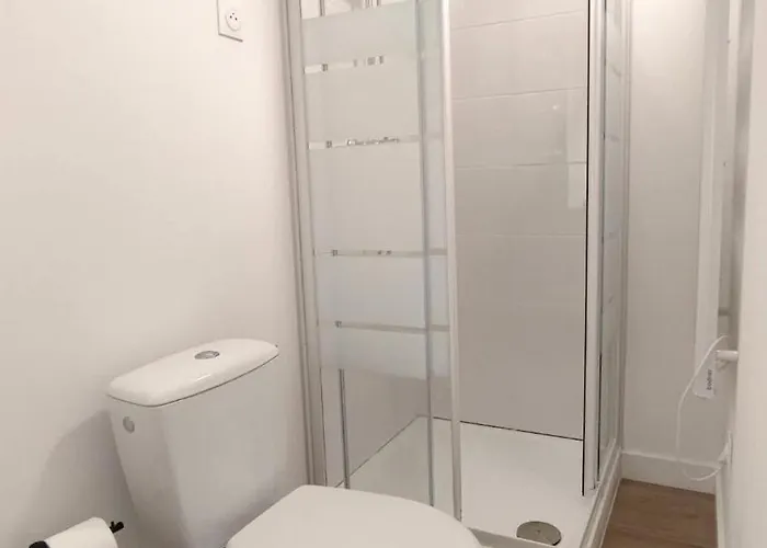 Le Vaillant Moderne Wifi * Roubaix