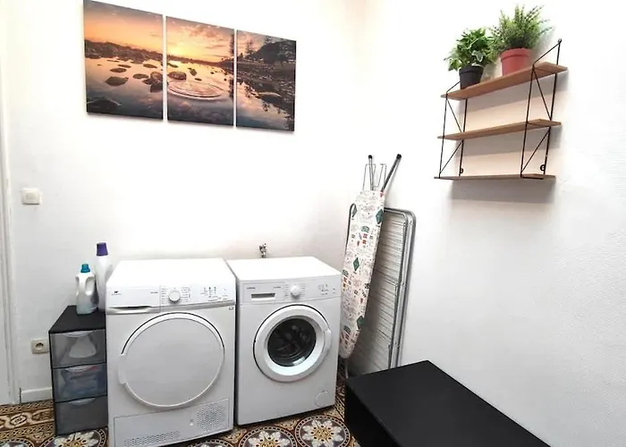 Le Vaillant Moderne Wifi * Roubaix